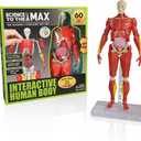 Be Amazing! Toys Interactive Human Body - 60 Piece Fully Poseable Anatomy Figure  14 Tall Model - Anatomy Kit  Removable Muscles, Organs,Bones STEM Toy  Ages 8+ (Extra Large)