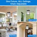 Modern Outdoor Hanging Lights 3-Light 17" Black & Brushed Brass