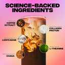 Everyday Dose Premium Adaptogenic Mushroom Coffee with Grass-Fed Collagen, Chaga, Lions Mane & L-Theanine for Better Focus, Energy, Digestion, Skin, and Immunity 30 Servings