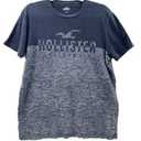 Hollister California Classic Established Men's Cotton T-Shirt S