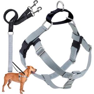 2 Hounds Design Freedom No Pull Dog Harness, Adjustable Harness and Leash Set, Easy Walking & Comfortable Control, Fits  Dogs, Solid Colors, Made in USA, 1" MD, Silver 1" MD (Chest 24" - 28")