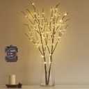 Hairui Lighted Brown Branches Battery Operated with Timer 30IN 100 LED Fairy Lights, Willow Branch Lights for Home Bedroom Fireplace Christmas Holiday Decoration Indoor Outdoor Use (Vase Excluded)