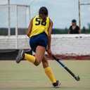 2 x 3 Pairs Soccer Baseball Sock, Youth Men and Women Knee High Softball Football Socks for Sports (Medium)