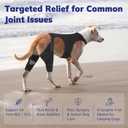 Dog Knee Brace for Torn ACL Hind Leg- Dog Leg Support Brace with Metal Stabilizers for Torn CCL, Limping, Luxating Patella, Ligament Injuries, Hip Dysplasia& Arthritis,XS