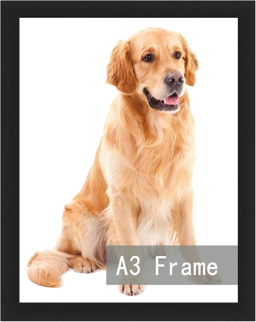 RUN HELIX A3 Picture Frame Black for Wall Hanging, Wall Mounting Horizontally or Vertically, 11.7 x 16.5 inch Wall Gallery Poster Photo Frame with Durable Shatter Resistant Plexiglass, Black