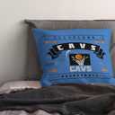 Northwest Pillow 18inch 2 Packs