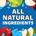 Capri Sun 100% Juice Apple All-Natural Juice from Concentrate with added ingredients, 10 ct Box, 6 fl oz Pouches