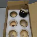 IWOWHERO 12pcs Mini Ceramic Succulent Planter Pots Crack-Resistant Small Flowerpots for Succulents Cactus and Mini Plants Decorative Home and Office Garden Containers