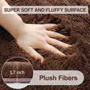 Brown Rug,2x6 Runner Rug for Bedroom Living Room,Soft Fluffy Soft Plush Washable Plush Small Rugs,Shag Non Slip Fuzzy Carpet,Area Rug for Hallway Dorm Nursery Teen Boys Home Decor Aesthetic
