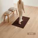 Sunfly 2x3 Entryway Rug with Non Slip Rubber Backing Brown