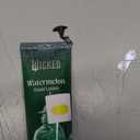 Wicked Hand Lotion, 110ML