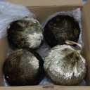 Syhood 4 Pcs Large Champagne Gold Christmas Balls Glitter 4 Inch Big Christmas Ornaments Silk Tubing Shatterproof Hanging Balls for Xmas Tree Party Holiday Indoor Outdoor Home Decor