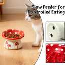 Cat Slow Feeder Bowl, Ceramic Slow Feeder Cat Bowls, Cute Mushroom Elevated Cats Bowl, Anti-Fatigue & Anti-Vomiting