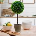 Elements Artificial Boxwood Topiary, 17 Inch
