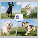 Dog Ball Thrower Launcher, Automatic Ball Launcher for Dogs, 3 Adjustable Distance Settings, Indoor Outdoor Interactive Dog Toys, with 3 2.3-inch Balls, Small/Medium Sized Dog Thrower