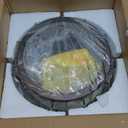 Darkaway Flush Mount Ceiling Light, 11.6 Inch Industrial Ceiling Light Fixture Outdoor Indoor Close to Ceiling with Clear Glass Shade for Hallway Balcony Porch Kitchen Living Room 2-Light (Black-Round)