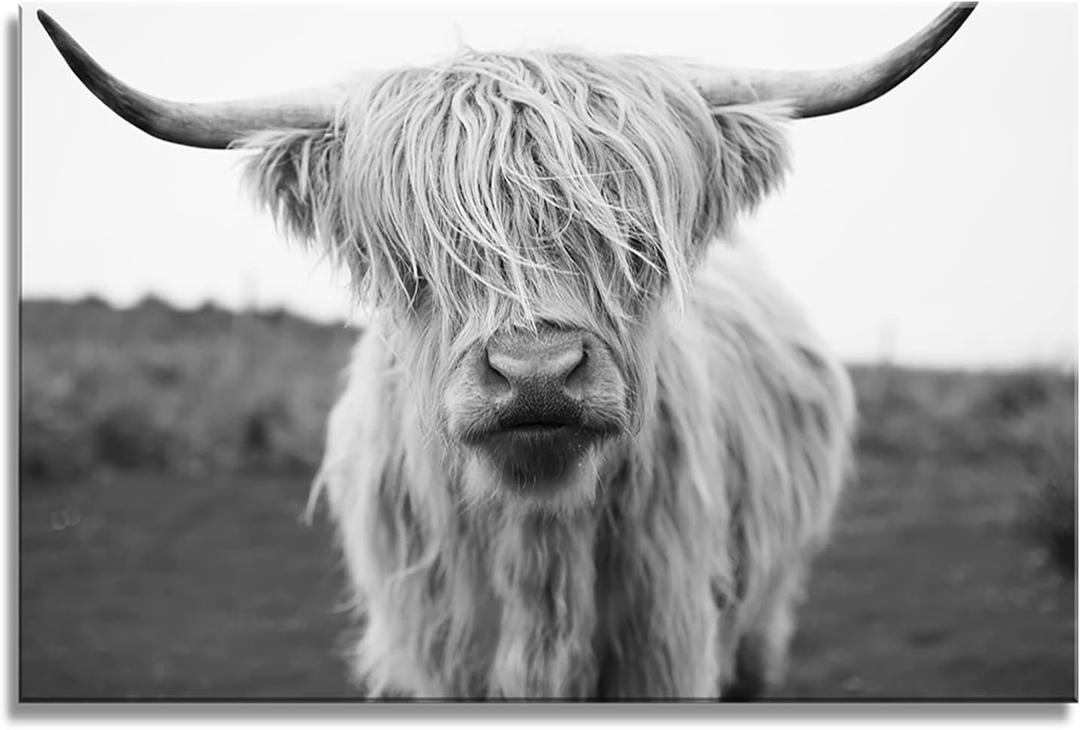 XXMWallArt FC3681 Highland Cow Canvas Art - Black and White Animal Wall Art for Living Room, Bedroom, Office Wall Decor, Size: 48"L x 32"W
