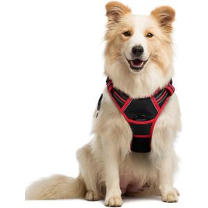 rabbitgoo Dog Harness No Pull with 2 Leash Clips, Adjustable Soft Padded, Reflective Oxford No Choke Pet Vest with Easy Control Handle for Medium Sized Dogs, Black & Red, M
