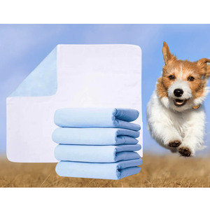 blue dog pee pads