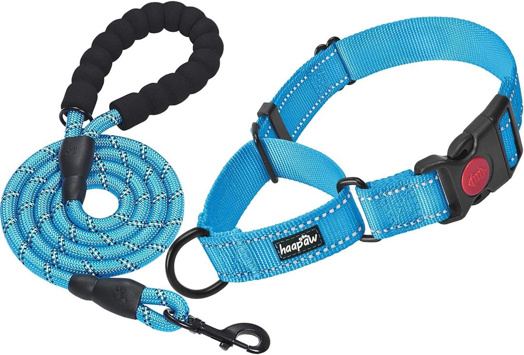 haapaw 2 Packs Martingale Dog Collar with Quick Release Buckle Reflective Dog Training Collars for Small Medium Large Dogs (L-Martingale collar, blue, Martingale Collar+Leash)