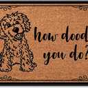 How Doodle You Do Low Profile Door Mat for Front Door Inside Door Mats for Home Entrance, Inside Front Doormat 28"X17"