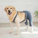 Dog Hind Leg Recovery Sleeve for ACL TPLO After Surgery, Cotton Dog Recovery Pants Prevent Wounds Licking (Navy Blue,2X-Large)