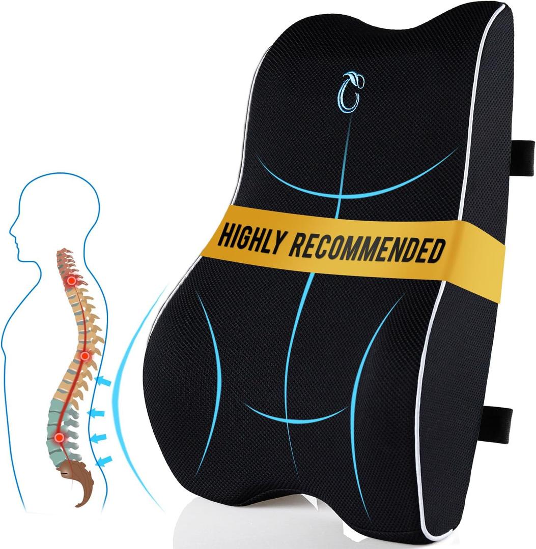 CompuClever Lumbar Support Pillow for Office Chair & Car Seat, Ergonomic Memory Foam Back Cushion with Dual Adjustable Straps, Breathable Mesh, Support for Long Sitting, Work, Driving & Gaming