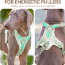 No Pull Dog Harness with Lycra, Three-Point Force Dispersion & 3D Padding, Adjustable Breathable Mesh for Small Medium Large Dogs(Light Green,L)