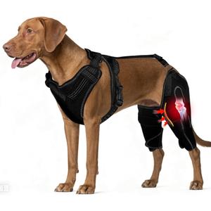 Dog Knee Braces for Back Leg, Adjustable Dog Leg Braces for Torn ACL Hind Leg with Metal Stabilizers, Better Recovery Knee Brace for Rear Leg Cruciate Ligament Injuries & Hip Dysplasia, M