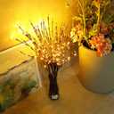 DK177 2 Pack Led Branch Light Battery Operated Lighted Branch Vase Filler Willow Tree Artificial Little Twig Power Brown 30 Inch 20 LED for Home Romantic Decoration, Warm White