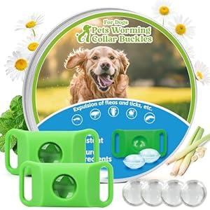 Trihood - Natural Flea and Tick Prevention Dog Tag – 2 Pack Waterproof Collar Pendant with 4 Extra Refills, Green, Safe for All Breeds Collar Not Included
