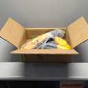 Cordless Weed Wacker for Dewalt 20V Battery,600W Brushless Motor,5800RPM String Trimmer Electric Weed Eater with Dual Safety Design, for Yard and Bush Trimming(No Battery)