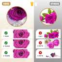 Gifts for Mom, Preserved Rose Flowers in Glass Dome, Forever Flowers for Delivery, Eternal Rose, Birthday Gifts for Women, Mothers Day for Grandma, Wife, Daughter, Anniversary(Purple)