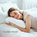 Degrees of Comfort Pillow Protectors (Set of 2) - Hypoallergenic, Water Resistant, Zippered Dust Allergy & Bed Bug Proof Pillow Cover, Cotton Terry with 3M Scotchgard, King Size, 21x37