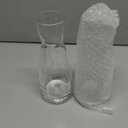 Bormioli Rocco Ypsilon Clear Carafe, 17 OZ, Pack 2