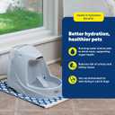 PetSafe Drinkwell Platinum Cat Water Fountain - Pet Fountain for All Pet Sizes, Encourages More Drinking, Includes Replaceable Carbon Filter, Indoor Use, Grey (168 oz/5L)