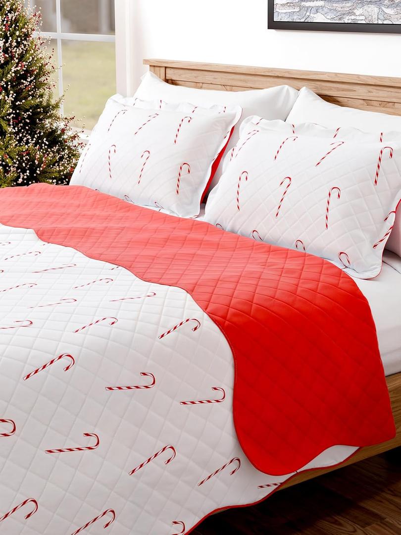 Quilt Set Full/Queen Size - Christmas Quilts - 3 Piece Lightweight Comforter Set with 2 Pillow Shams - Coverlet Blanket for All Seasons - Xmas Festive Winter Holiday Bedspread - Candy Canes, 98 x 90