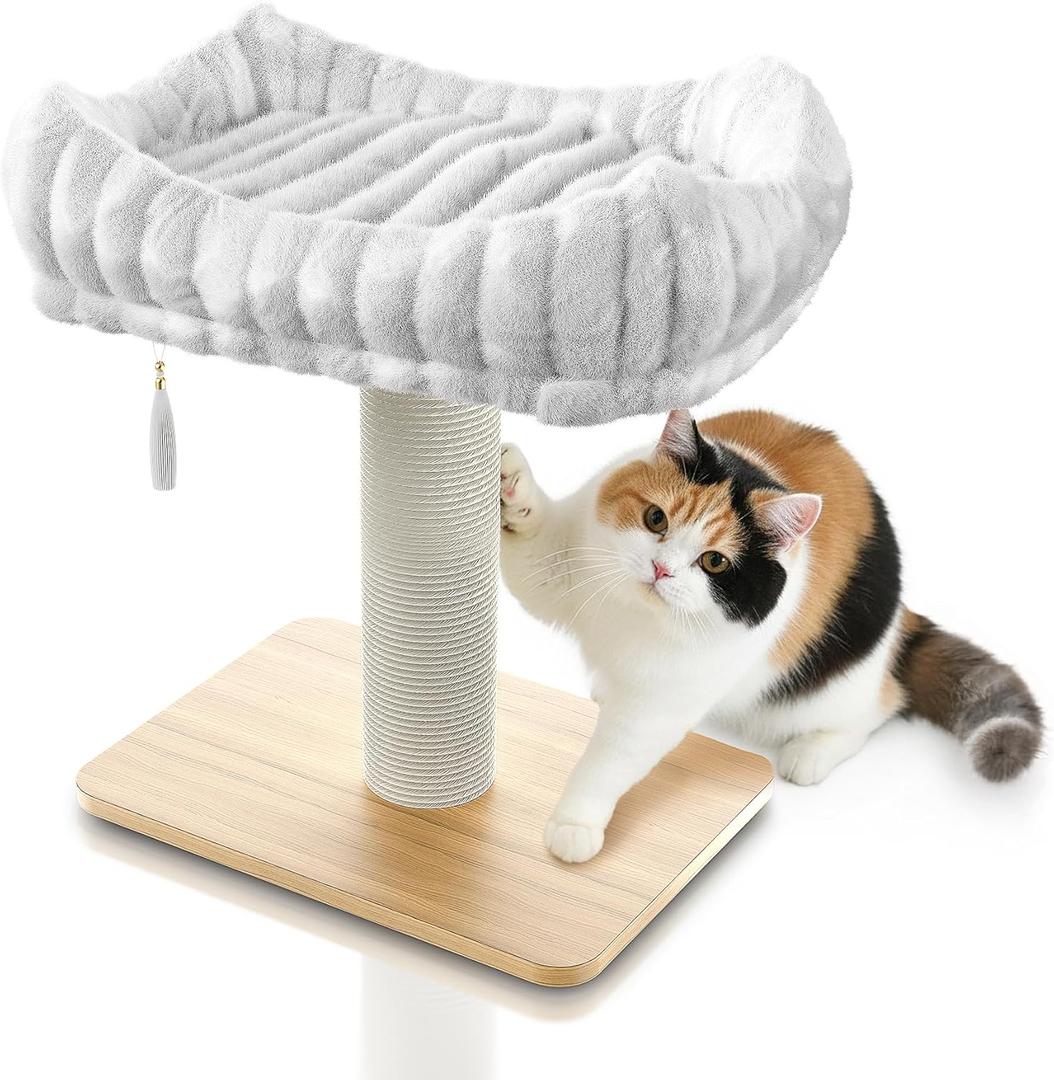 Modern Scratching Post for Indoor Cats - 15 High Cat Scratching Post with Bed Breeds - 15.7 x 11.6 Removable & Washable Cushion (Natural Wood Post with White Bed)
