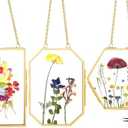 FOCHIER F 3 Pcs Pressed Flower Frames with Tweezers, Wall Hanging Double Glass Frames with Metal Chain for Pressed Dried Flowers Plants, Golden
