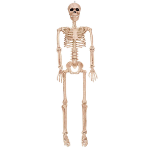 Skeleton with Realistic Movable and Posable Joints for Halloween Indoor and Outdoor Decoration