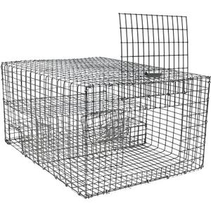 WCS Multi-Catch Sparrow Trap - Galvanized Steel Bird Cage for House Sparrows & Starlings - Humane Live Capture, Catches 8-10 Birds - for Barns, Warehouses & Farms - Made in USA