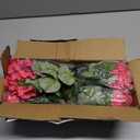 8 Bundles Artificial Flowers for Outdoors, Realistic Geraniums Fake Flowers for Decorations, UV Resistant Silk Faux Flowers Plants for Outside Garden Porch Planter Yard Patio Home Decor (Rose Red)