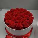 27 Piece Preserved Roses in a Box - Forever Flowers for Delivery Prime, Eternal Roses Mothers Gifts for Mom, Valentine's Day, Wife Anniversary Birthday Gifts for Women(Red)