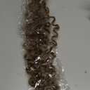 18Inch 45cm Tape-in Curly Hair Extensions Seamless Tape Weft Remy Human Hair (18inch, Ash Brown)