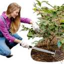 Landscape Rakes for Lawns Leaf Leaves, Small Hand Cultivator, Clam Tool for Cleaning Debris, Weeds, Grass, Pine Needle Remove in Yard, Flower Beds, Herb Rock Garden Care - Stainless Steel