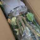 Artificial plant, 3 FT