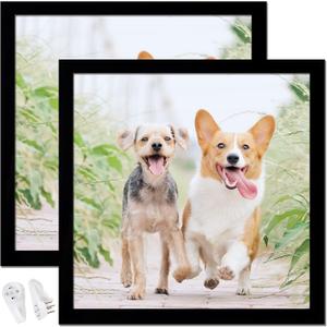 16x16 Picture Frame Set of 2, Black Square Photo Frames High Transparent Wall Gallery Desktop Horizontal Vertical for Canvas Collage Photo Poster Certificate 16 x 16 inches