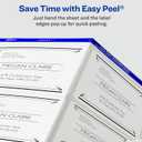 Avery Printable Shipping Labels with Sure Feed, 3-1/3" x 4", Matte Clear, 60 Blank Mailing Labels (18664)