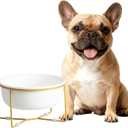 Elevated Ceramic Dog Bowl with Metal Stand - Raised Feeding Dish for Small and Medium Dogs - Ideal for Food or Water - Each Holds 600ml / 3.2 Cups (Approx. 320g) - White