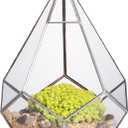 NCYP Silver Hanging Glass Geometric Terrarium, 6.8 x 6.8 x 8.6 Inches Teardrops Shape Display Planter for Succulent Air Plants, Indoor Decor Flower Holder, Handmade (NO Plants)